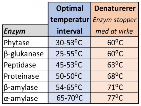 Enzymer i mæsknngen