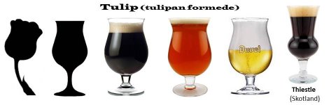 Tulipan glas