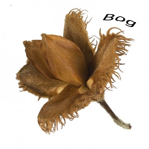 Bog